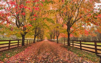 Save Money with Fall Asphalt Maintenance