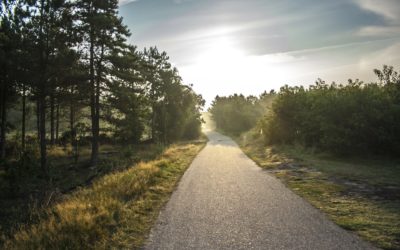 Why Asphalt Is the Ideal Choice for Bicycle Paths
