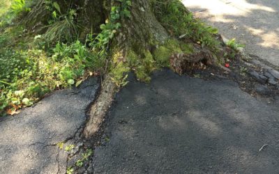 Four Threats Facing Your Asphalt