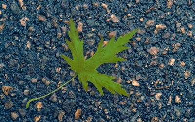 Asphalt: The Environmentally Conscious Choice