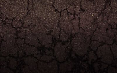 6 Spring Asphalt Repair Essentials